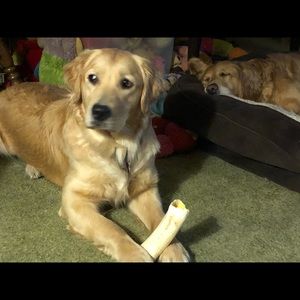 Meet your Posher, Donna